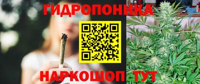 МДМА Можга