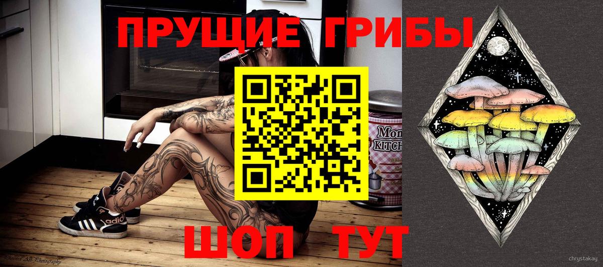 Псилоцибиновые грибы GOLDEN TEACHER  Вход с VPN  Чебаркуль 